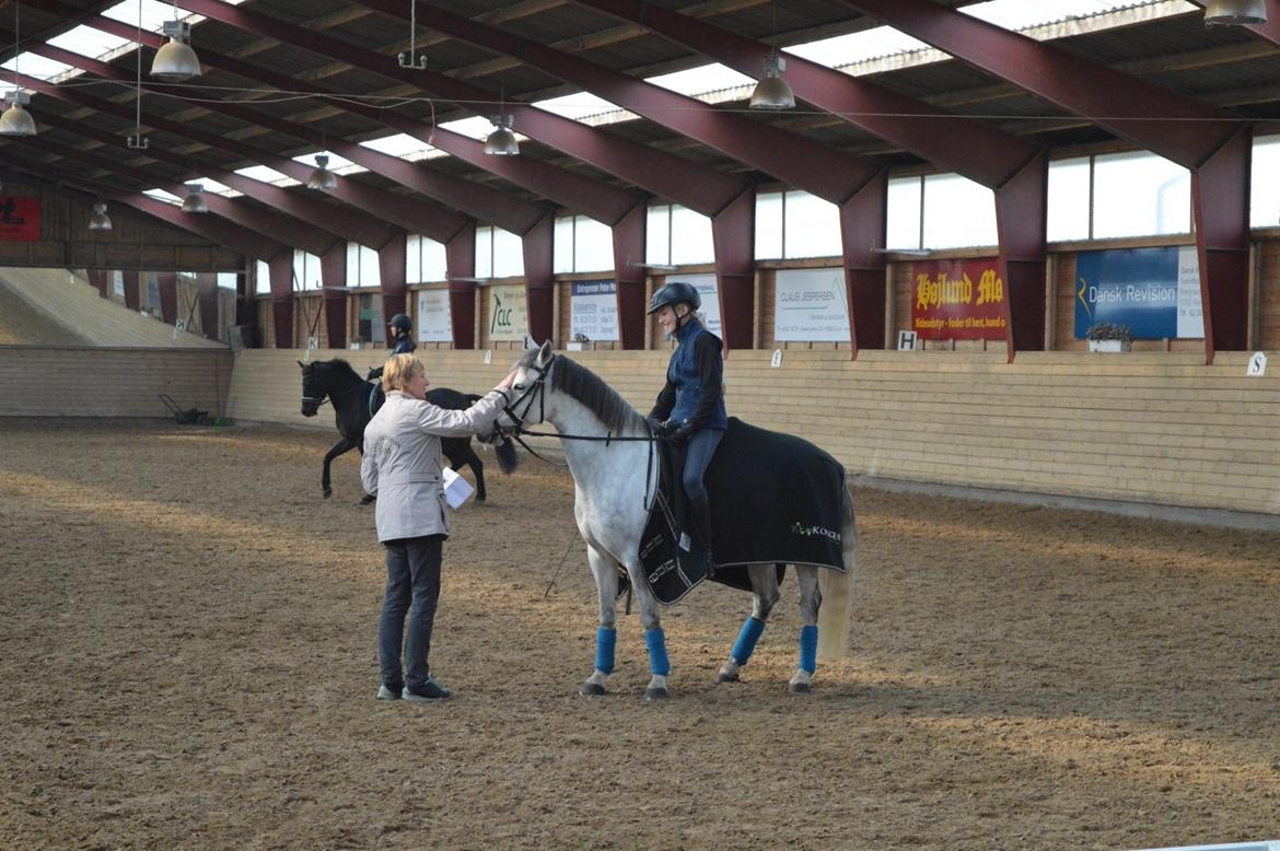 DSP Jean Le'Penn A PONY  billede 14