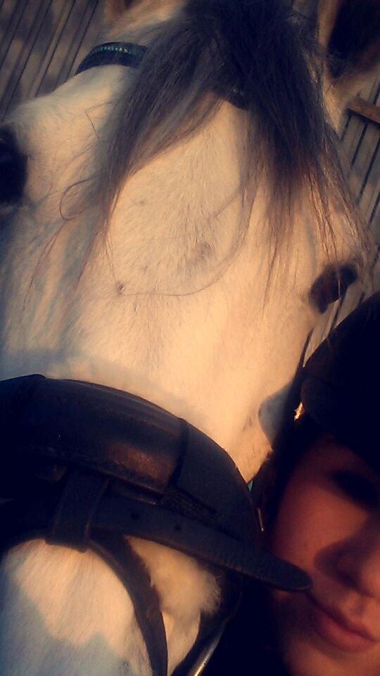 Anden særlig race Macoy billede 11