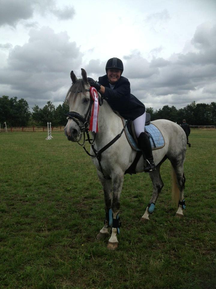 Anden særlig race Macoy billede 8