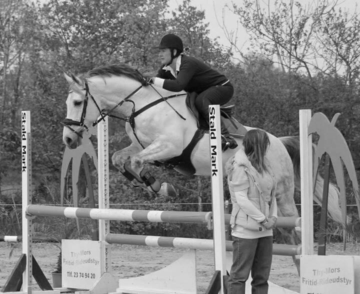 Anden særlig race Macoy billede 7