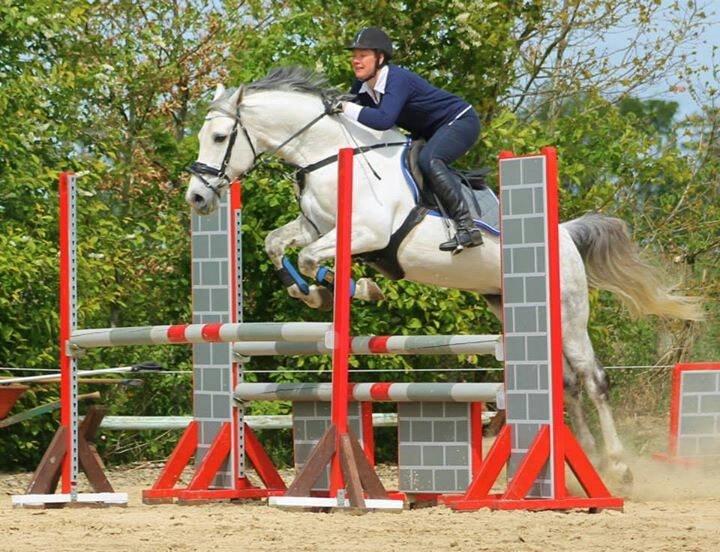 Anden særlig race Macoy - Macoy der springer med min mor. billede 5
