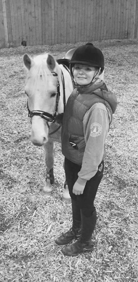 Palomino Asterix - Bassen på Svankjær <3 billede 5