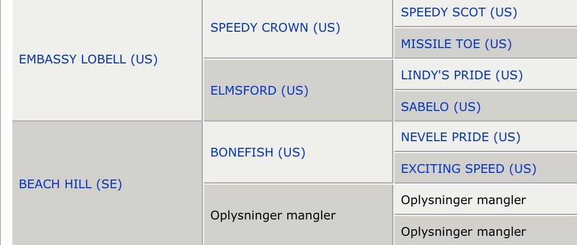 Svensk Varmblod Seth Fisch billede 5