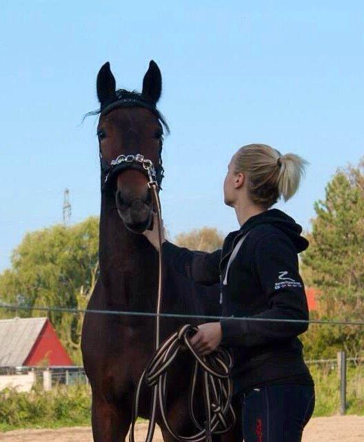 Oldenborg Tabasco - 1. gang longe træning oktober 2014 billede 16