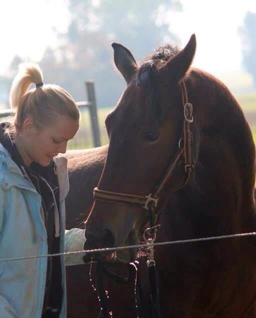 Oldenborg Tabasco - folden oktober 2014 billede 17