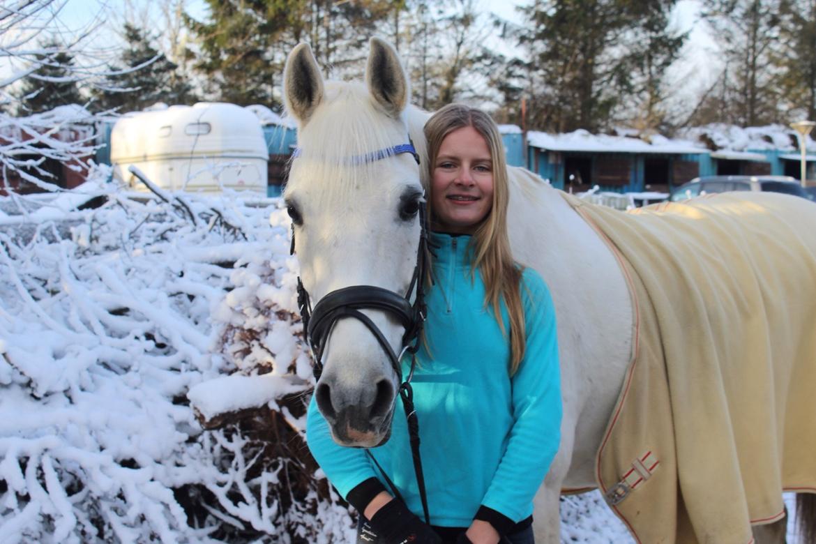 Anden særlig race Vsr Moonjam billede 5