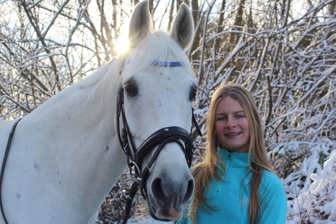 Anden særlig race Vsr Moonjam billede 6