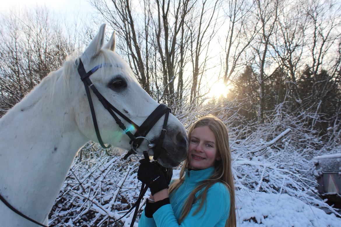 Anden særlig race Vsr Moonjam billede 7