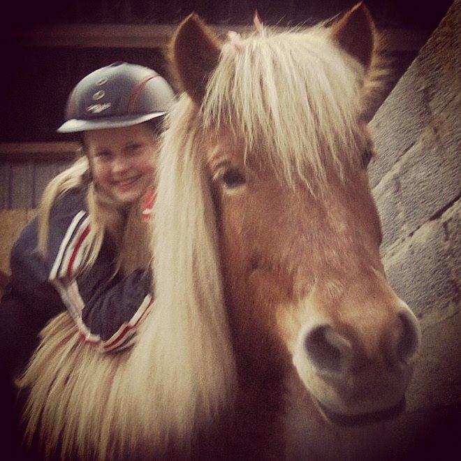 Islænder Dimmalimm fra Teland  billede 4