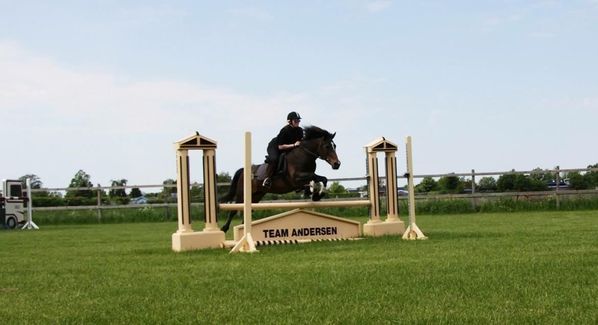 New Forest Freja billede 17