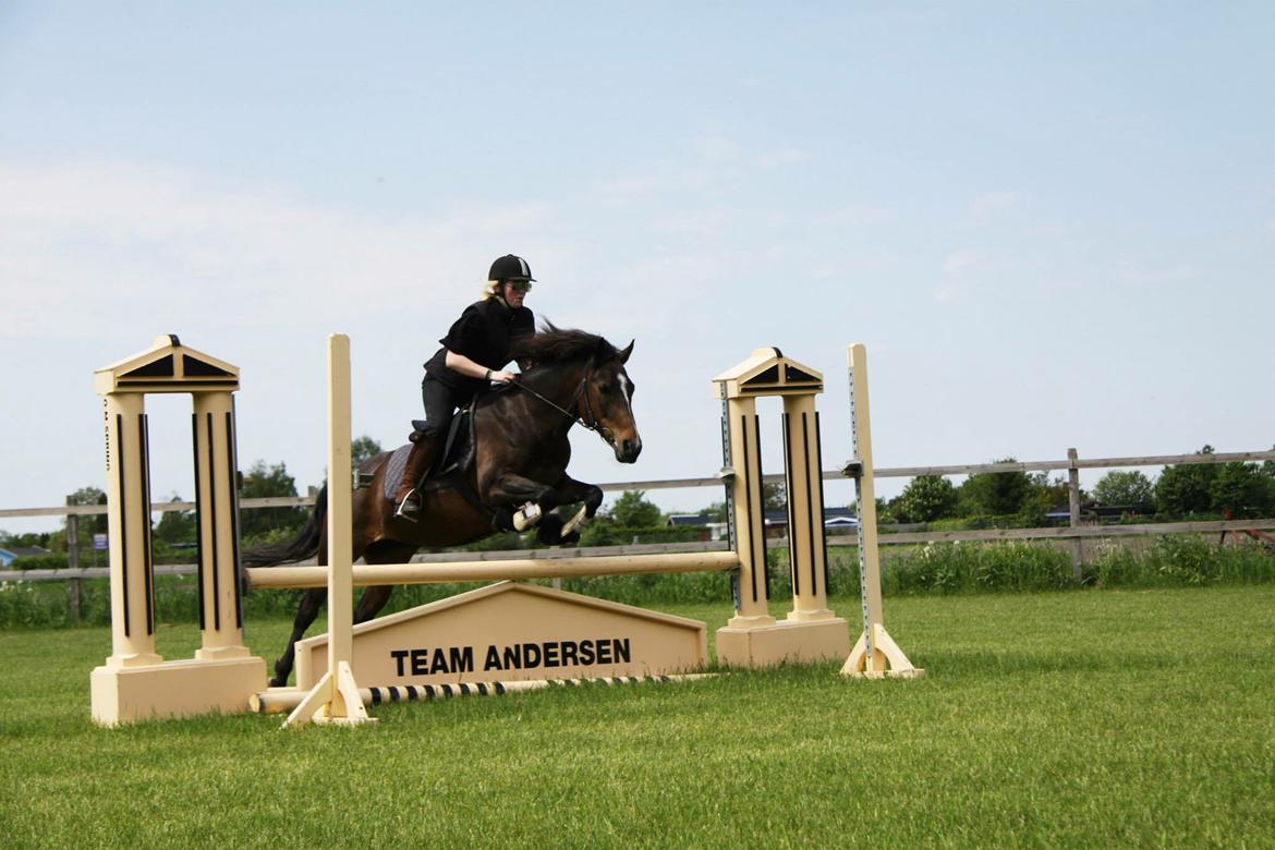 New Forest Freja billede 20