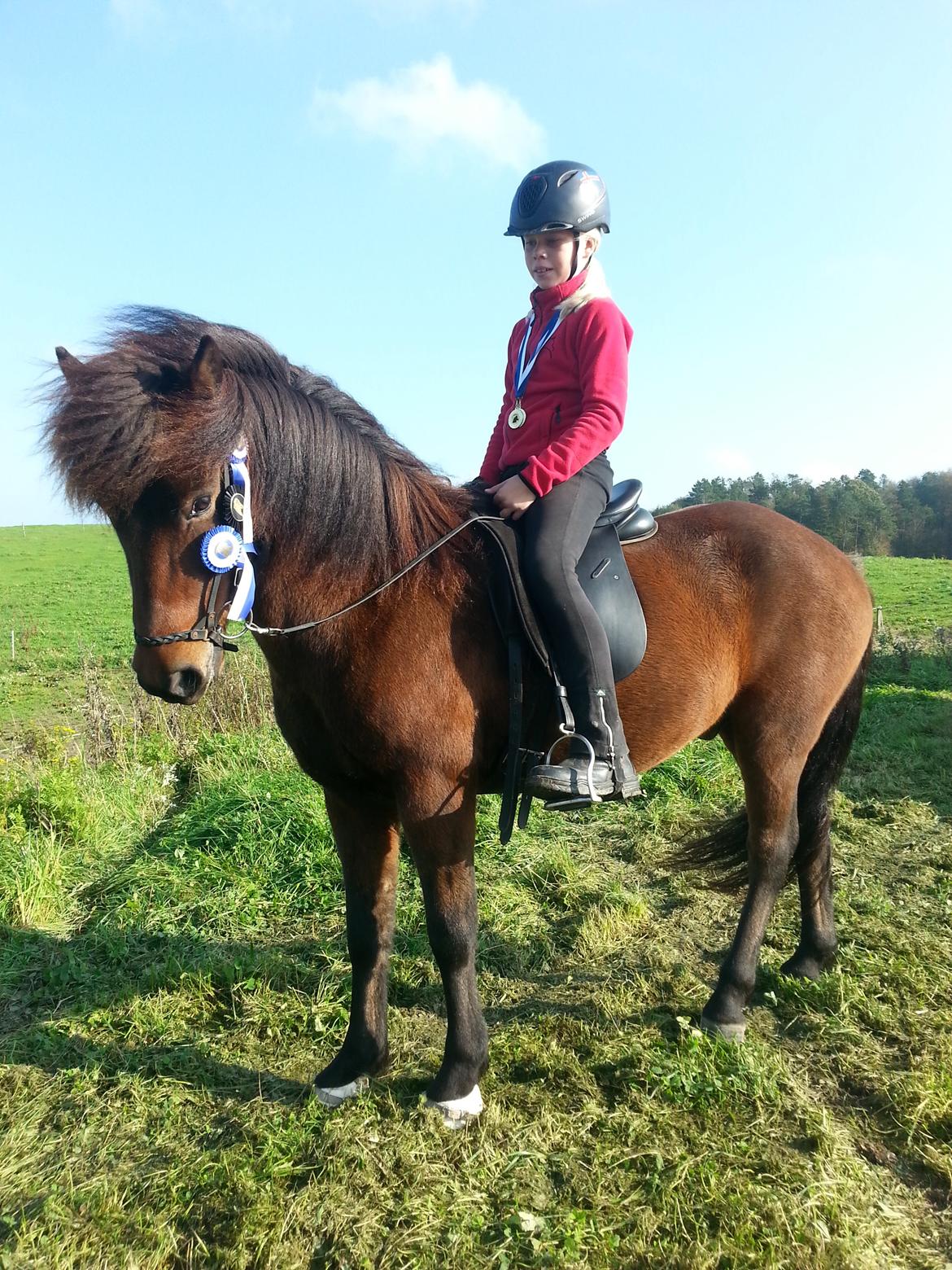 Islænder Andi fra Skyggefaxe billede 2