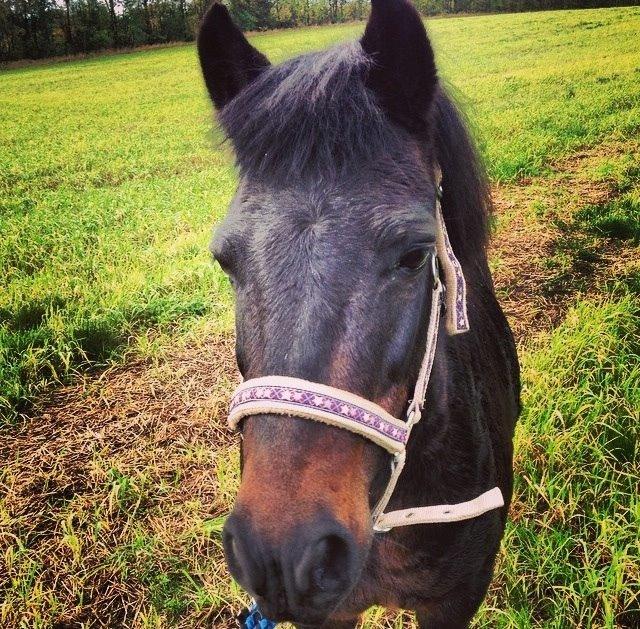 Anden særlig race Dumle :-) billede 20