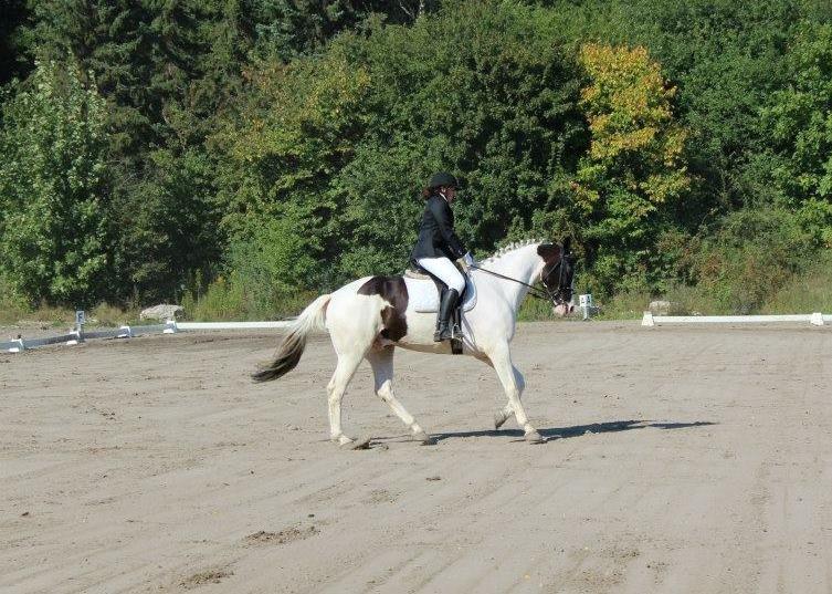 Anden særlig race R.I.P. - Don Pedro (blev kaldt Bjarne) billede 17