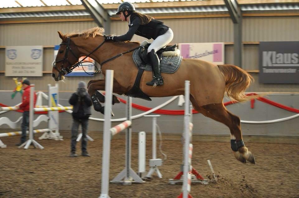 Tysk Oldenburger Bladsgaards Windy Sky - Stævne i Tinglev d. 28/12-14 1 plads. Fotograf: Photo By Herskind billede 2
