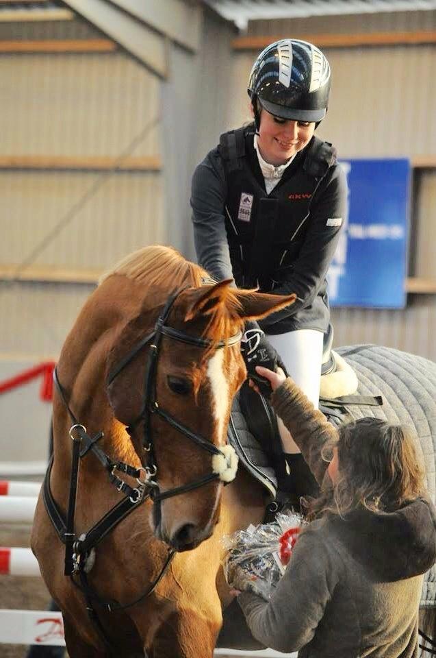 Tysk Oldenburger Bladsgaards Windy Sky - Min vinder <3 Fotograf: Photo By Herskind billede 1