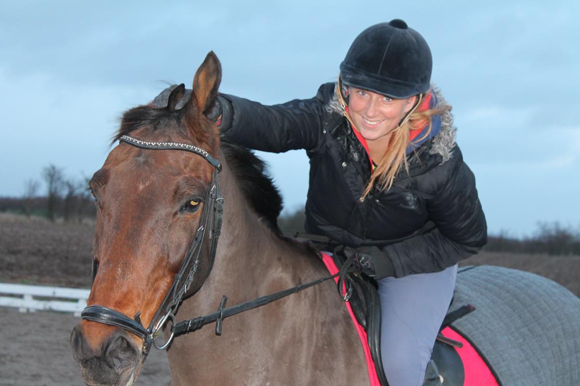 Anden særlig race Karizma (O.conner) (solgt)  billede 1