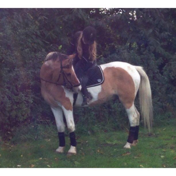 Anden særlig race Jens Marius billede 3