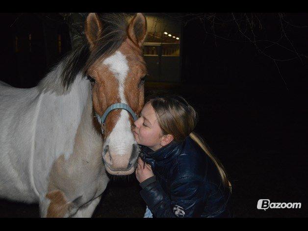 Anden særlig race Jens Marius billede 12