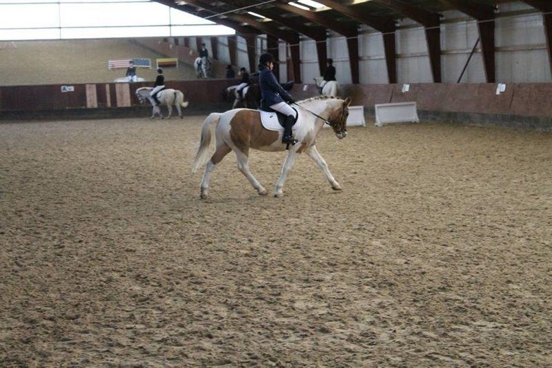 Anden særlig race Jens Marius billede 14