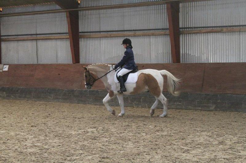 Anden særlig race Jens Marius billede 15