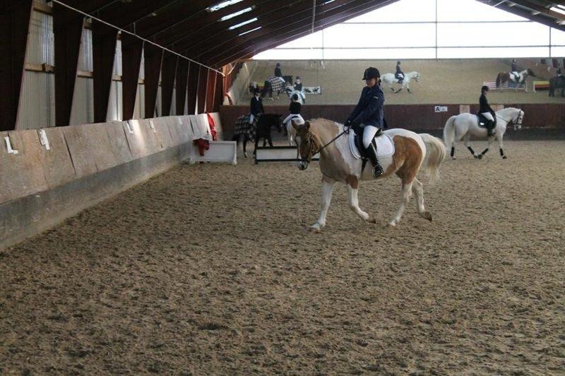 Anden særlig race Jens Marius billede 16