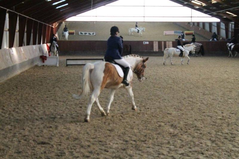 Anden særlig race Jens Marius billede 19