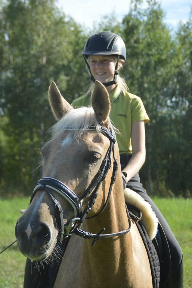 Palomino Lille skovgaards izzah diyaah billede 15