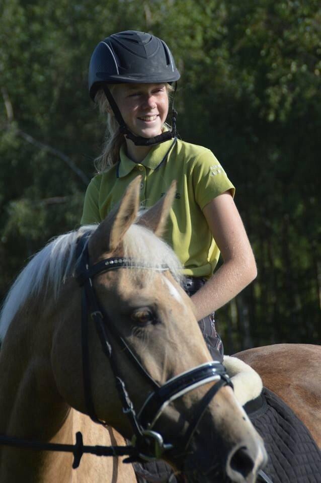Palomino Lille skovgaards izzah diyaah billede 16
