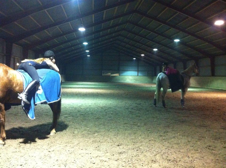 Frederiksborg Østervangs Fleur De Lis billede 15