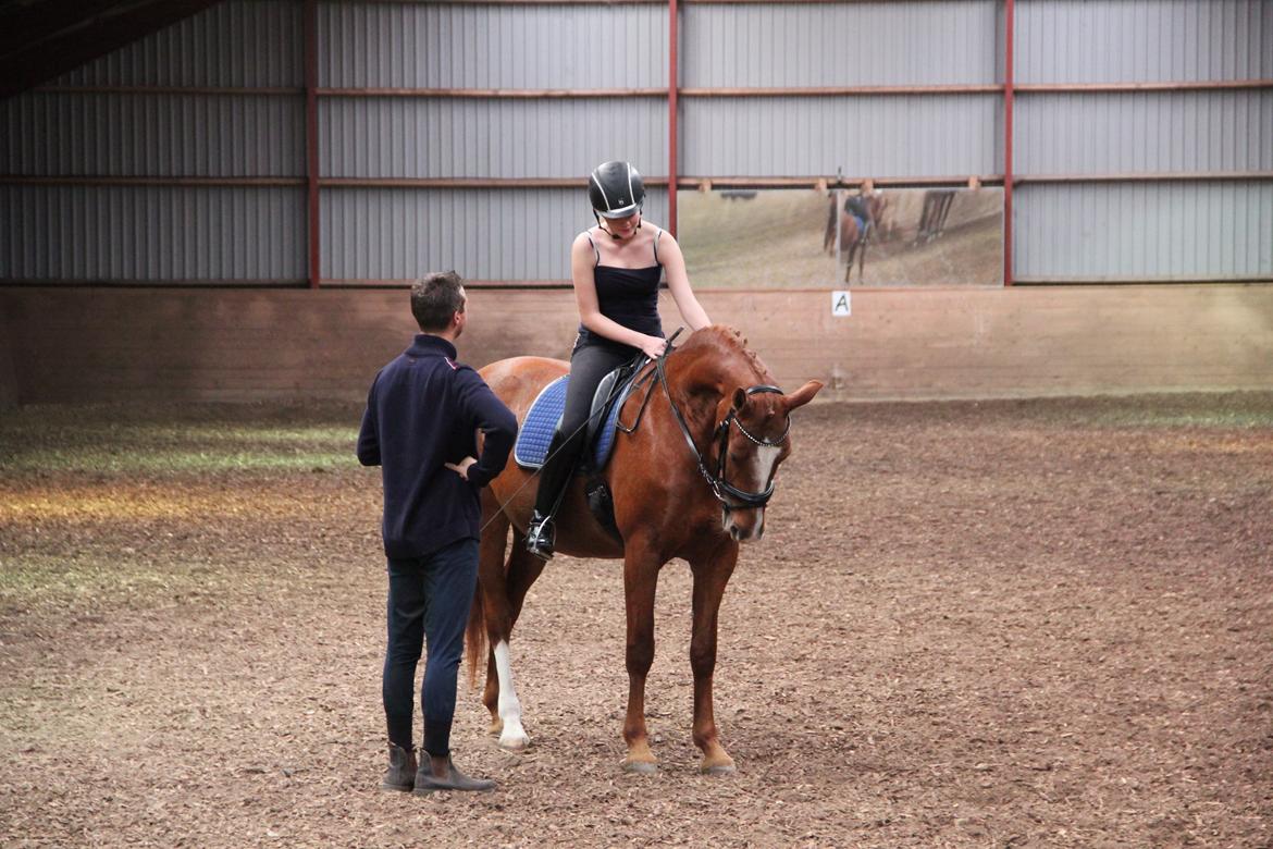 Frederiksborg Østervangs Fleur De Lis billede 2