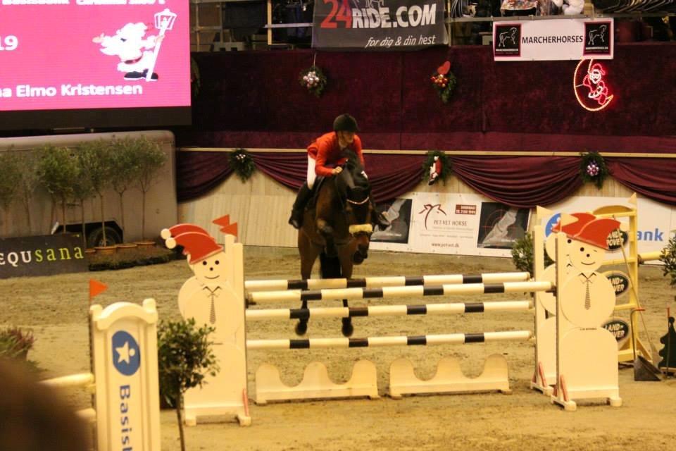 Hollandsk Varmblod C.ALBA R19 - SOLGT billede 14