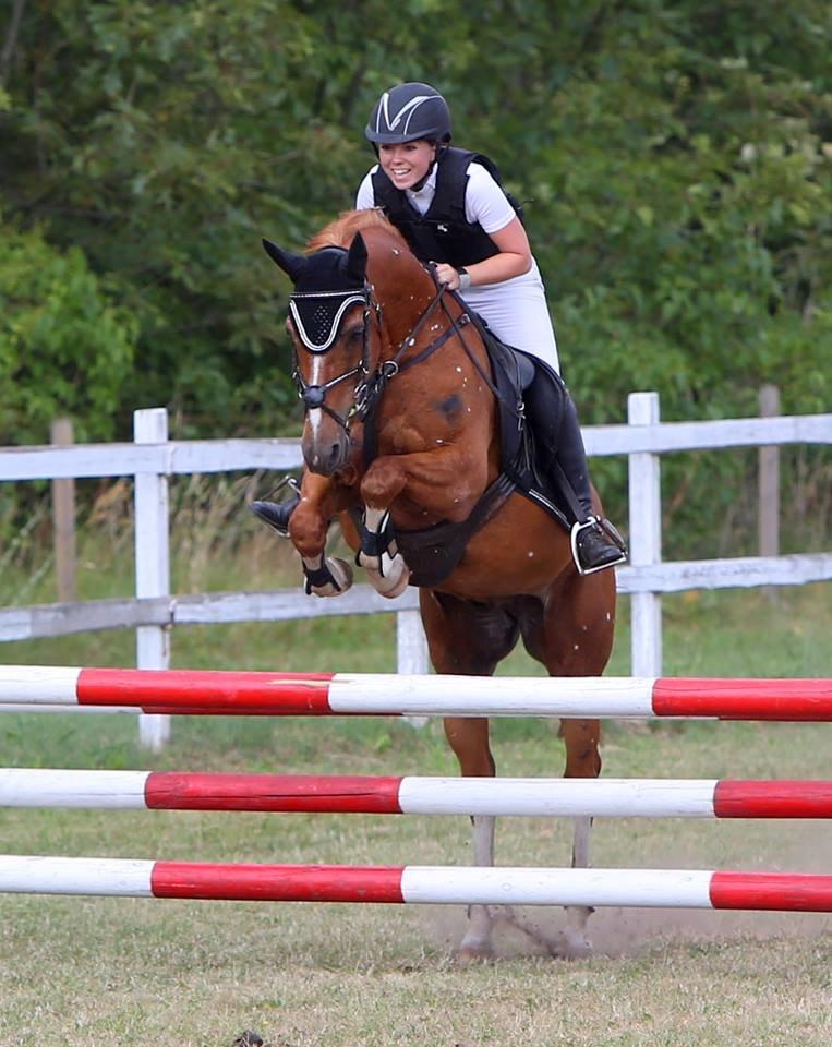 Hollandsk Sportspony Harpo Van De Haverkamp (Stanley) (himmelhest) billede 19