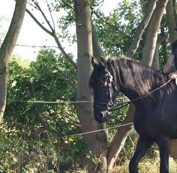 Frieser Aqua den dejlige billede 5