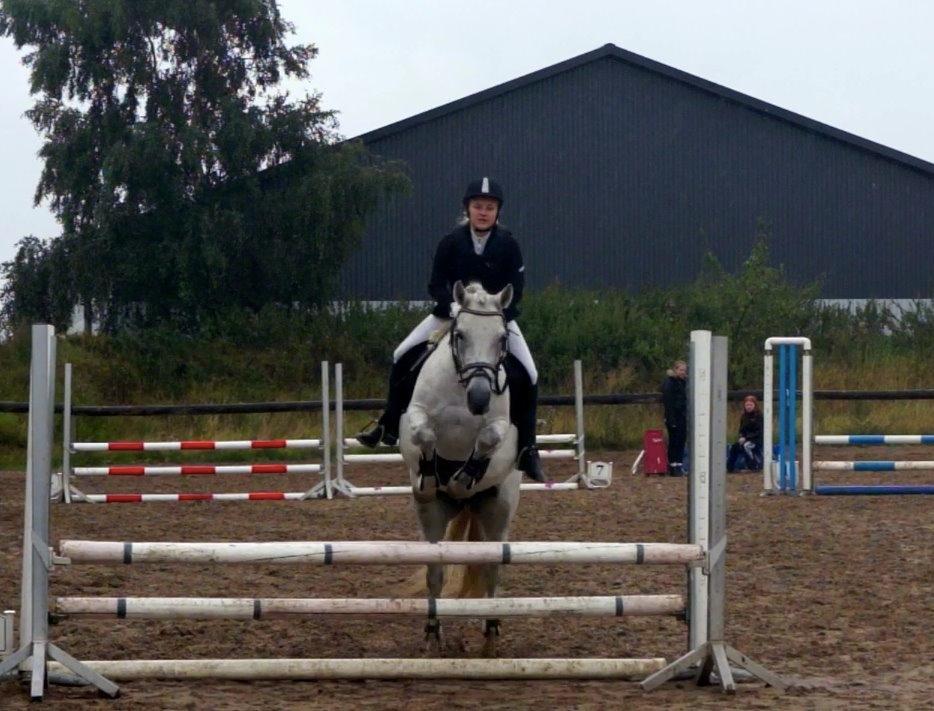 Anden særlig race Misti <3 billede 12
