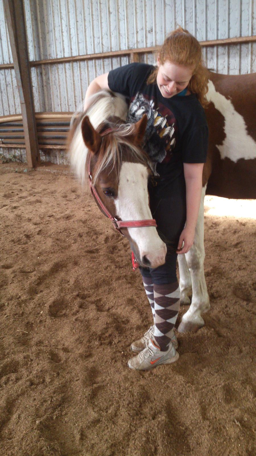 Pinto Ducati billede 1