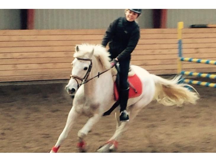 {{currentPhoto.altText}} billede {{currentPhoto.number}}