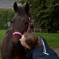 DSP Kjær's Calderina