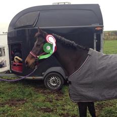 DSP Kjær's Calderina