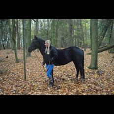 DSP Rotterdam's Chanel no. 5 I daglig talt Chanel