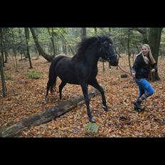 DSP Rotterdam's Chanel no. 5 I daglig talt Chanel