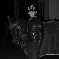 Hollandsk Sportspony Esmee Altair Vadette