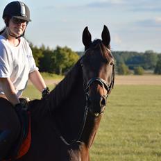 Anden særlig race Kildegårds Kanico