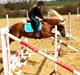 Haflinger Røgtergårdens Aqua *Felix* //MY SOULMATE<3//