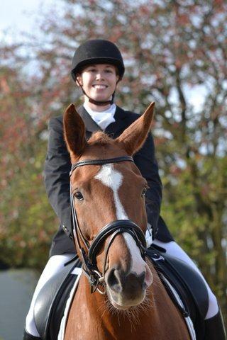 Dansk Varmblod Storgaardens Rialto billede 1