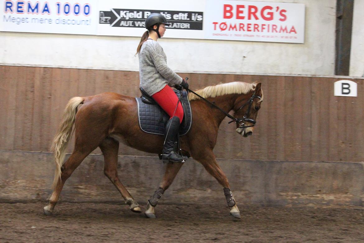 DSP Sunspot billede 22