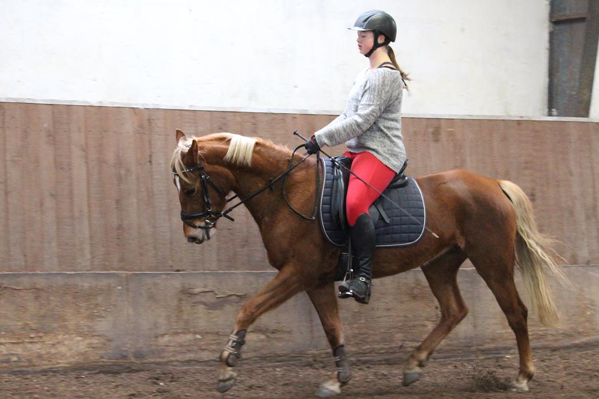 DSP Sunspot billede 23