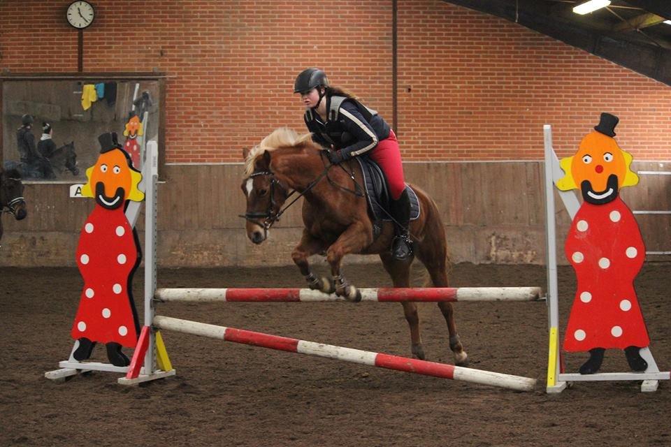 DSP Sunspot billede 26