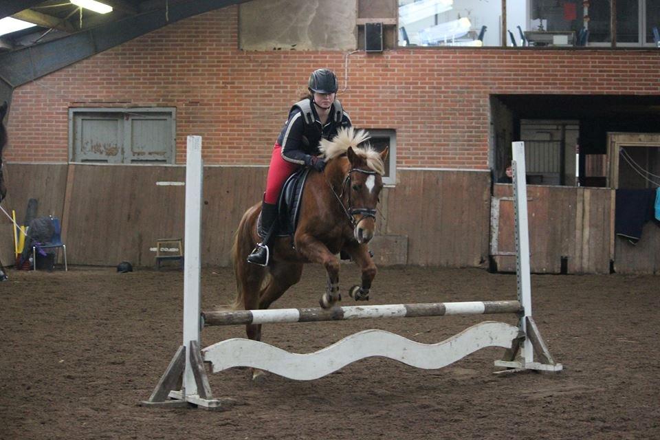 DSP Sunspot billede 25