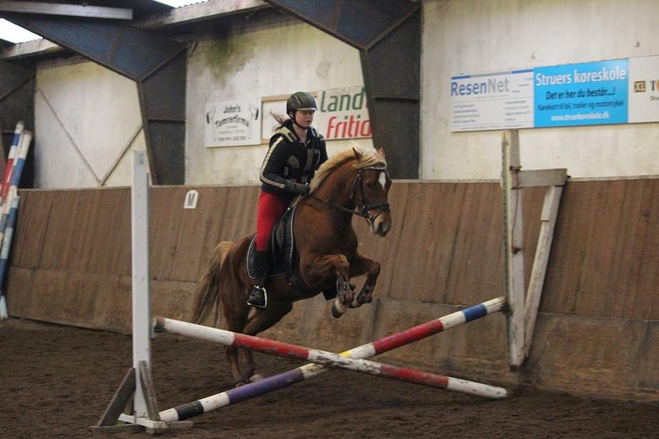 DSP Sunspot billede 24